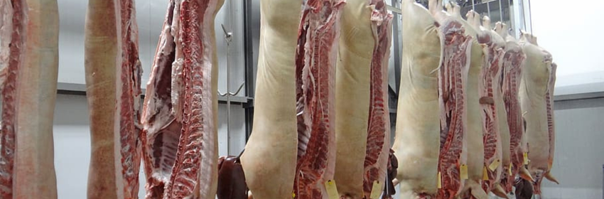 Pork Parts For Sale
